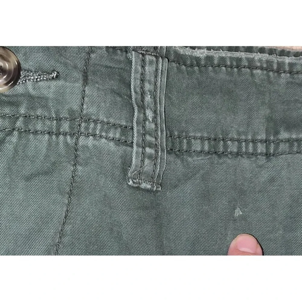 American Eagle Outfitters Mens Sz 30 Cargo‎ Shorts Zip Flat front Green